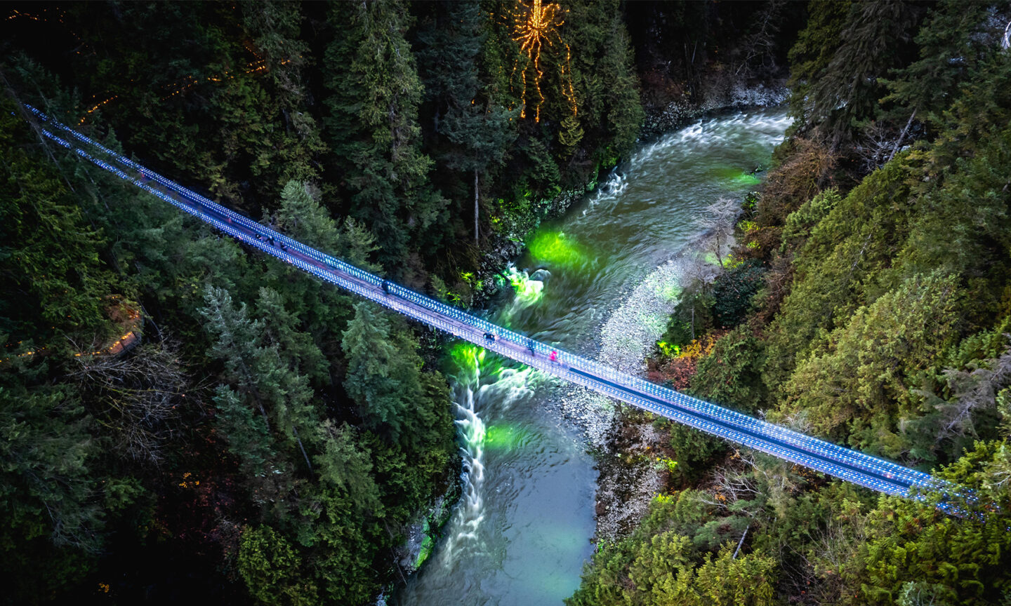 Canyon Lights Capilano Suspension Bridge Park