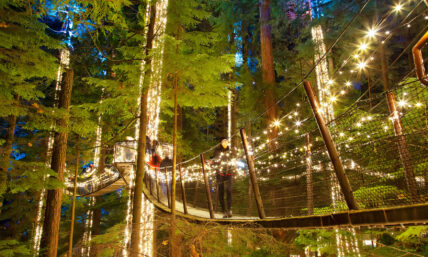treetops adventure treehouse glowing during canyon lights at capilano suspension bridge park