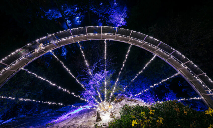 Cliffwalk illuminated with lights as the river below glows blue, creating a stunning nighttime ambiance and highlighting the unique beauty of Capilano Suspension Bridge Park during Canyon LIghts
