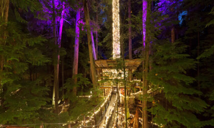 treetops adventure treehouse glowing during canyon lights at capilano suspension bridge park