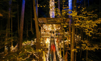 Treehouse at Canyon Lights