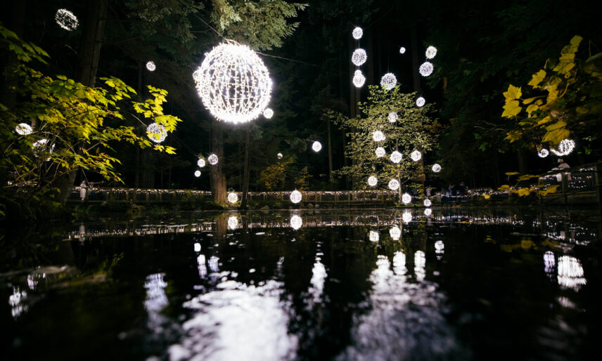 Large light balls hanging above the pond at night, casting a magical glow and adding enchantment to the serene atmosphere of Capilano Suspension Bridge Park during Canyon Lights