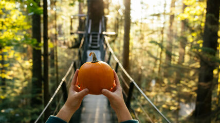 holding up a pumpkin during halloween Canyon Frights at Capilano Suspension Bridge Park