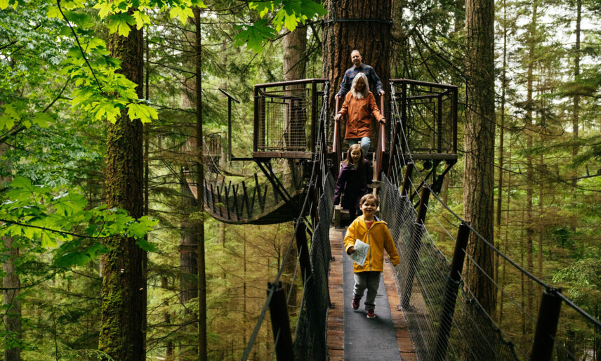 A family enjoys a stroll on the suspended bridges of Treetops Adventure while a little boy explores with his Kids' Rainforest Explorers activity sheet, discovering the wonders of the rainforest at Capilano Suspension Bridge Park