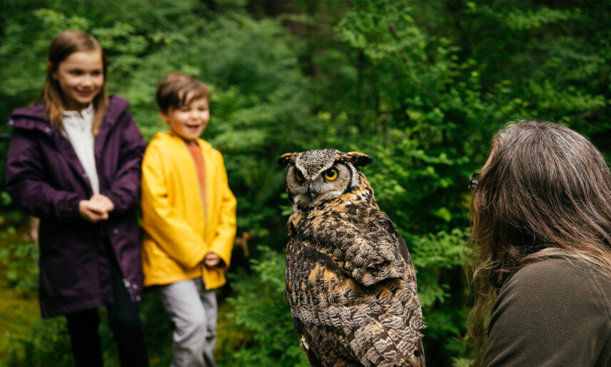 A bird handler from Raptors Ridge holds a majestic great horned owl, its head turned to gaze at the viewer, as two kids watch in awe in the background at Capilano Suspension Bridge Park