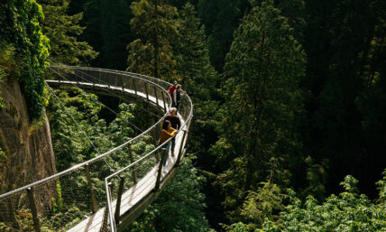 Four guests soak in the stunning views from Cliffwalk as it hangs from the cliff edge on a sunny day, experiencing the exhilarating blend of adventure and natural beauty at Capilano Suspension Bridge Park.