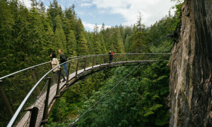 A wide shot captures guests admiring the breathtaking view from Cliffwalk against a backdrop of blue skies and green rainforest showcasing the thrilling adventure and scenic beauty of Capilano Suspension Bridge Park.