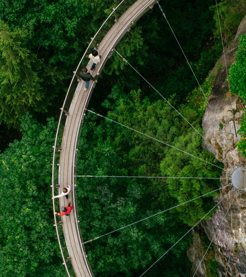 An aerial view directly above the arched walkway of Cliffwalk, with guests walking along its path and lush green trees visible below, showcasing the thrilling experience and natural surroundings of Capilano Suspension Bridge Park