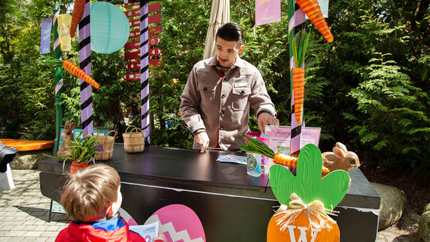 hoppy heights capilano suspension bridge park