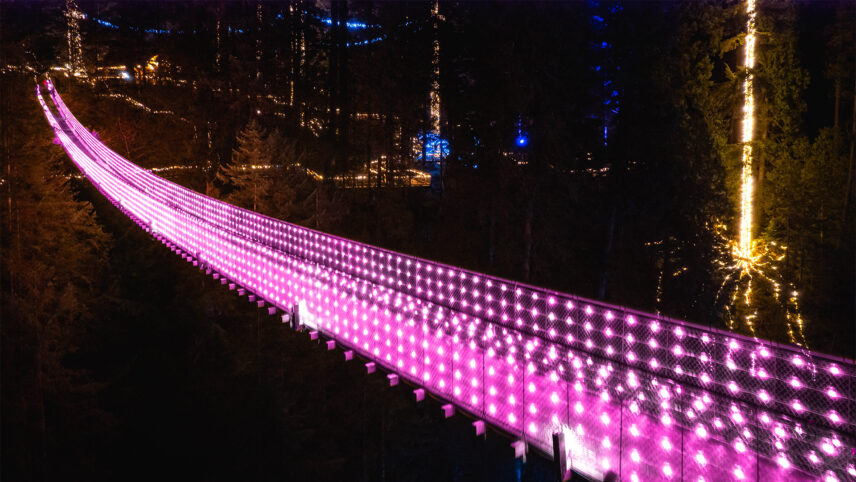 The Capilano Suspension Bridge stands illuminated in a soft pink glow during the Love Lights event, casting a romantic hue over the flowing river below, creating a magical atmosphere for visitors