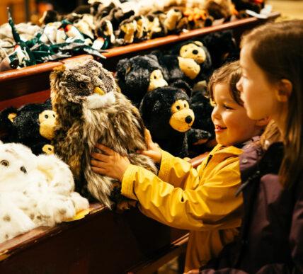 kids with owl toys at the trading post gift shop at capilano suspension bridge park