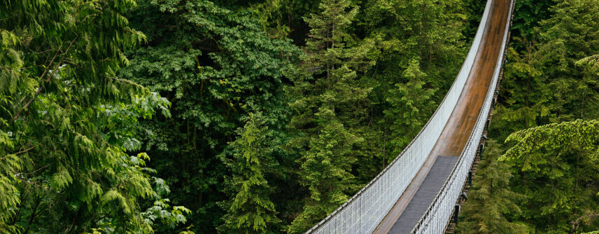 the iconic Capilano Suspension Bridge, suspended high above the lush greenery of the rainforest below