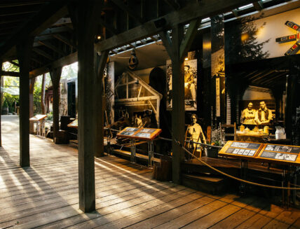 The Story Centre bathed in sunlight on a peaceful morning at Capilano Suspension Bridge Park, inviting visitors to explore the rich history and cultural significance of this iconic landmark