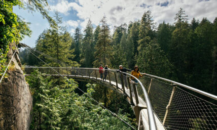 Guests enjoy a leisurely stroll along the Cliffwalk at Capilano Suspension Bridge Park on a sunny day, with lush greenery and stunning canyon views framing their journey