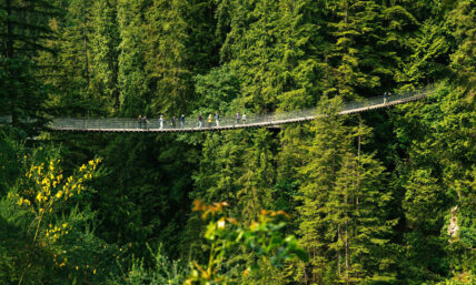Visitors explore the Capilano Suspension Bridge during a sunny summer day, surrounded by lush greenery, enjoying the scenic beauty and adventure of the iconic bridge