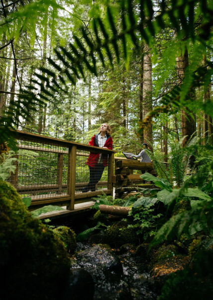 A woman stands on Nature's Edge Boardwalk, gazing out at the serene forest scenery, immersing herself in the tranquility of nature at Capilano Suspension Bridge Park