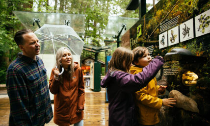 Two kids engage with the interactive Living Forest panel displays while their parents watch with interest in the background, experiencing the educational and immersive features at Capilano Suspension Bridge Park.