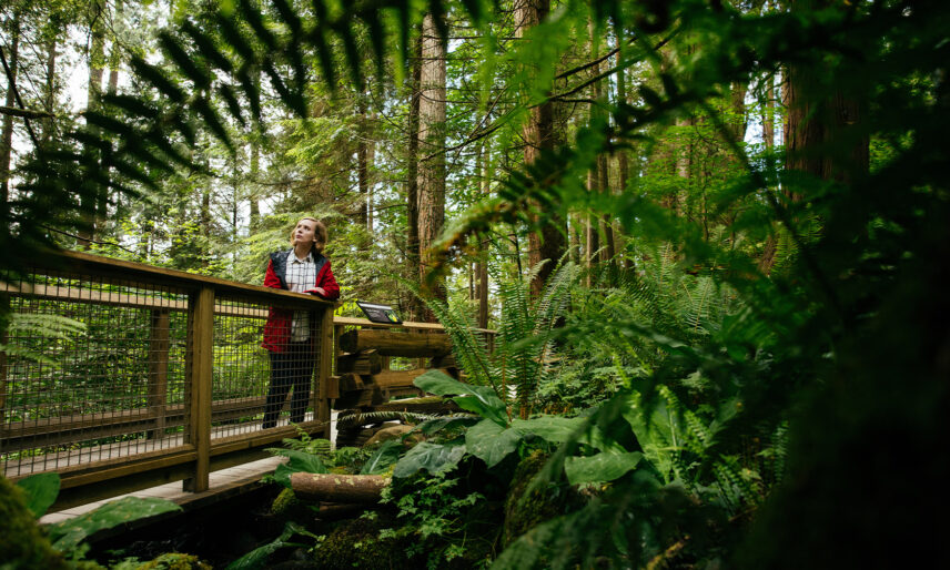 A woman stands on Nature's Edge Boardwalk, gazing out at the serene forest scenery, immersing herself in the tranquility of nature at Capilano Suspension Bridge Park