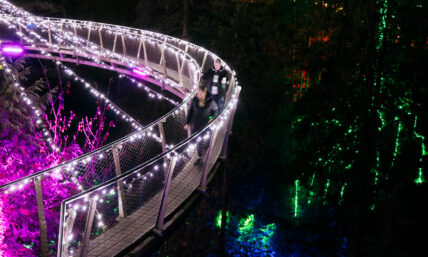 Cliffwalk glowing pink during Love Lights at Capilano Suspension Bridge Park