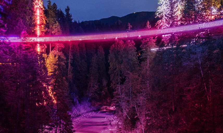 The Capilano Suspension Bridge stands illuminated in a soft pink glow during the Love Lights event, casting a romantic hue over the flowing river below, creating a magical atmosphere for visitors