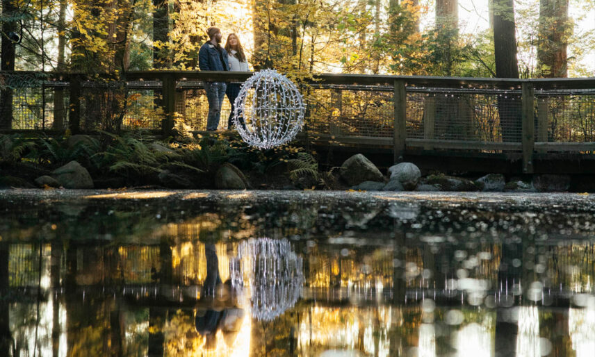 Young couple walking along the reflective pond during Love Lights at Capilano Suspension Bridge Park
