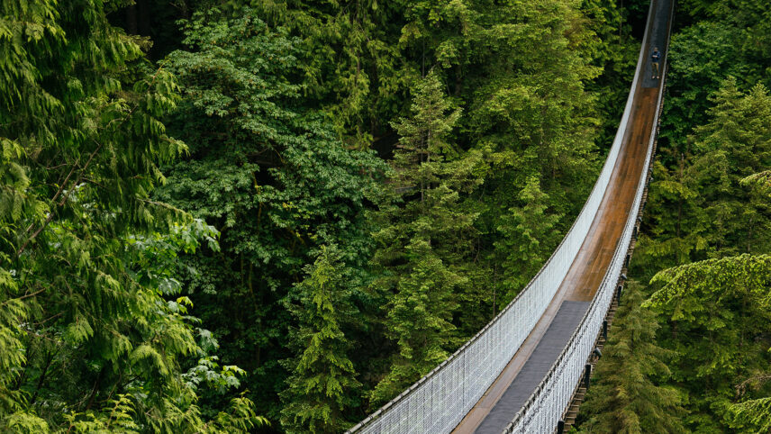 Two people stand in the middle of Capilano Suspension Bridge, surrounded by lush greenery and towering trees, as the bridge stretches out into the distance.