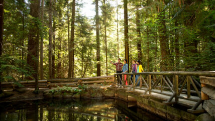 Tour guide giving a Nature Talk to a group of tourists in the rainforest at Capilano Suspension Bridge Park