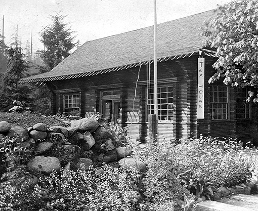 A historical black and white photo showcases the original teahouse built in 1911, offering a glimpse into the early days of hospitality and leisure at Capilano Suspension Bridge Park.