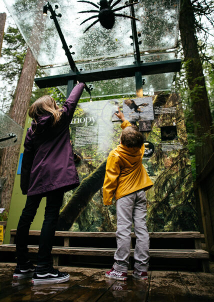 Two curious kids marvel at a spider in the living forest exhibits at Capilano Suspension Bridge Park, discovering the wonders of nature up close