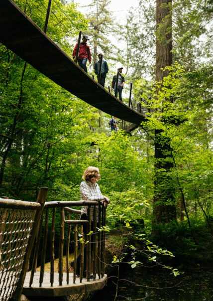 A woman enjoys the serene view of a pond from a platform amidst the rainforest at Capilano Suspension Bridge Park, while guests walk above her on the suspended bridge of Treetops Adventure , immersed in the beauty of the rainforest canopy