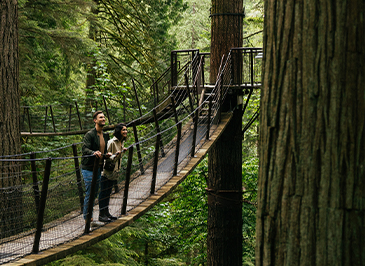 couple looking out of treetops adventure canopy walk capilano suspension bridge park