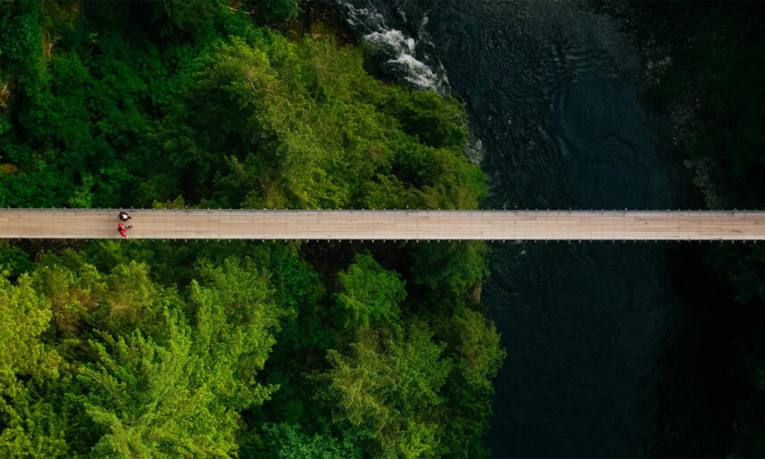 capilano suspension bridge from above