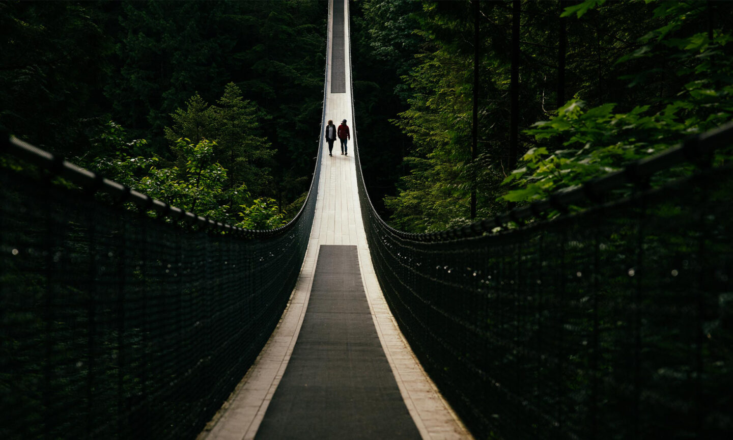 The Suspension Bridge Capilano Suspension Bridge Park