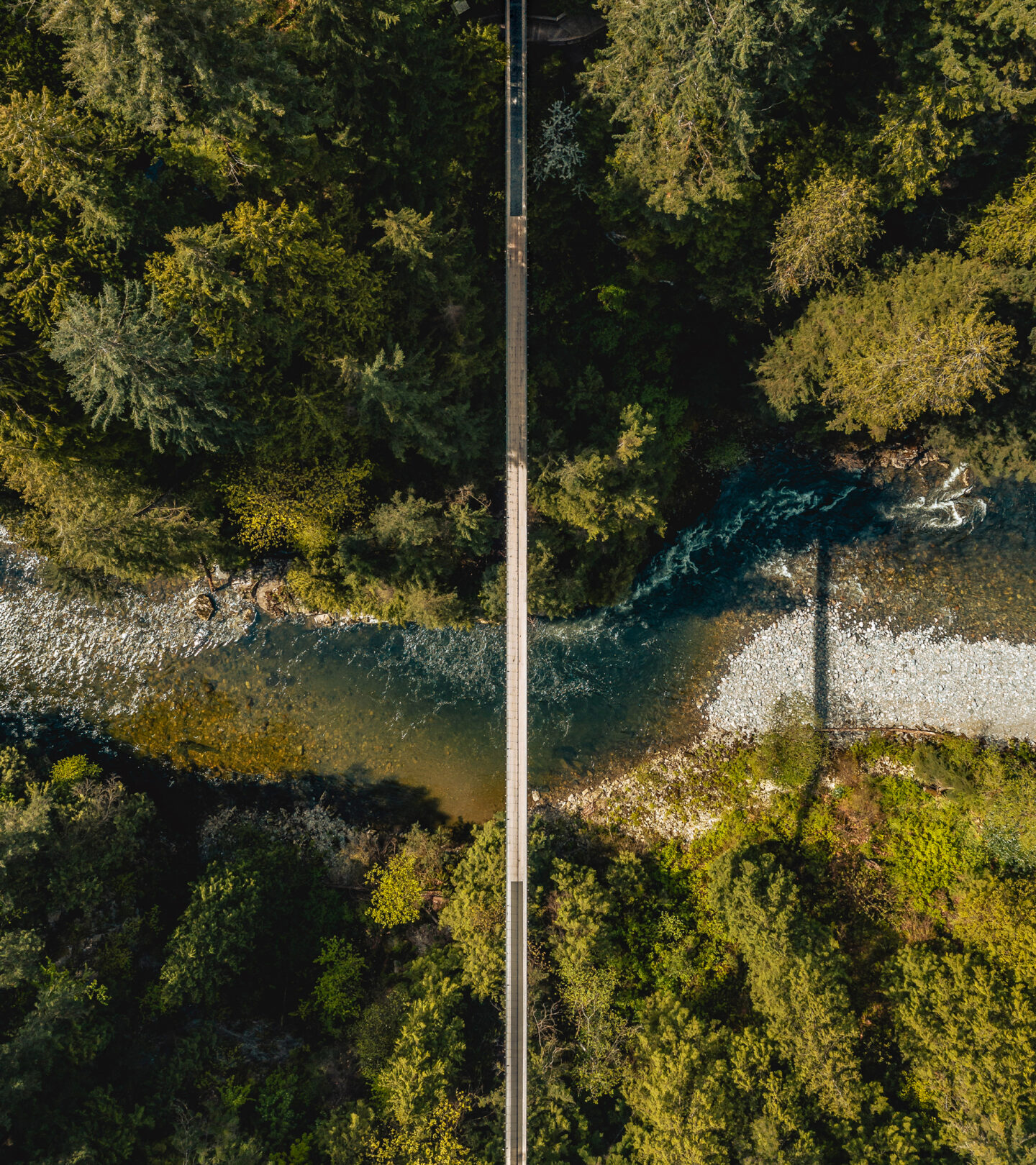 The Suspension Bridge Capilano Suspension Bridge Park