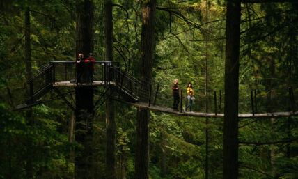 guests walking on treetops adventure canopy walk at capilano suspension bridge park