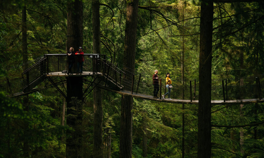 Two older guests stroll along a suspended bridge on Treetops Adventure, while two other guests stand on one of its platforms in the distance, immersed in the enchanting beauty of Capilano Suspension Bridge Park