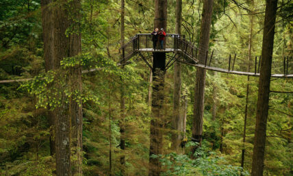 Two guests stand on a platform of Treetops Adventure, taking a picture, high above the forest floor, enjoying panoramic views of the lush greenery and natural beauty of Capilano Suspension Bridge Park