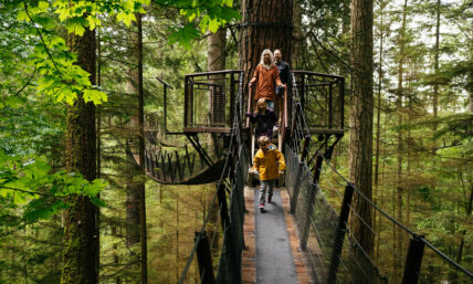 family walking on Treetops Adventure canopy walk at Capilano Suspension Bridge Park