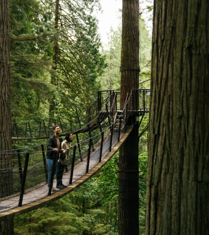 A young couple stands side by side on a suspended bridge of Treetops Adventure, framed by large old-growth trees in the foreground, immersed in the tranquil beauty of Capilano Suspension Bridge Park