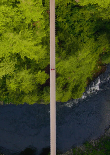 Aerial overhead view of guests walking across the Capilano Suspension Bridge