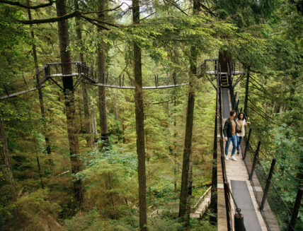 Couple walking Treetops Adventure canopy walk at Capilano Suspension Bridge Park