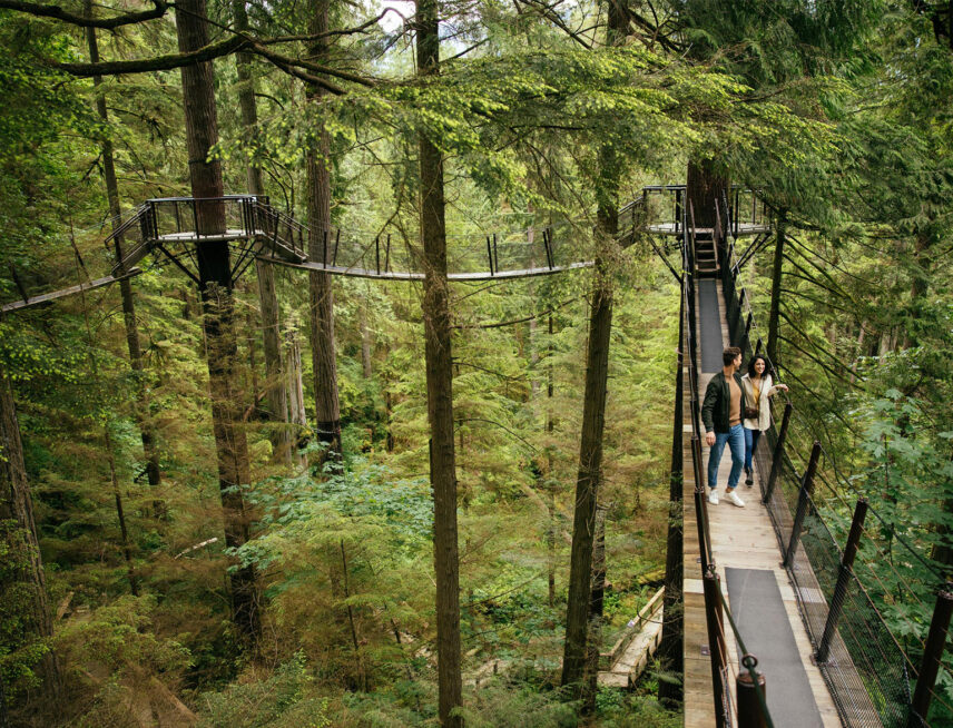 Couple walking Treetops Adventure canopy walk at Capilano Suspension Bridge Park