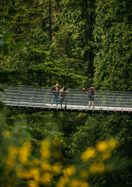 couple looking out on the capilano suspension bridge