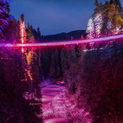 Capilano Suspension Bridge glowing pink during Love Lights above Capilano River