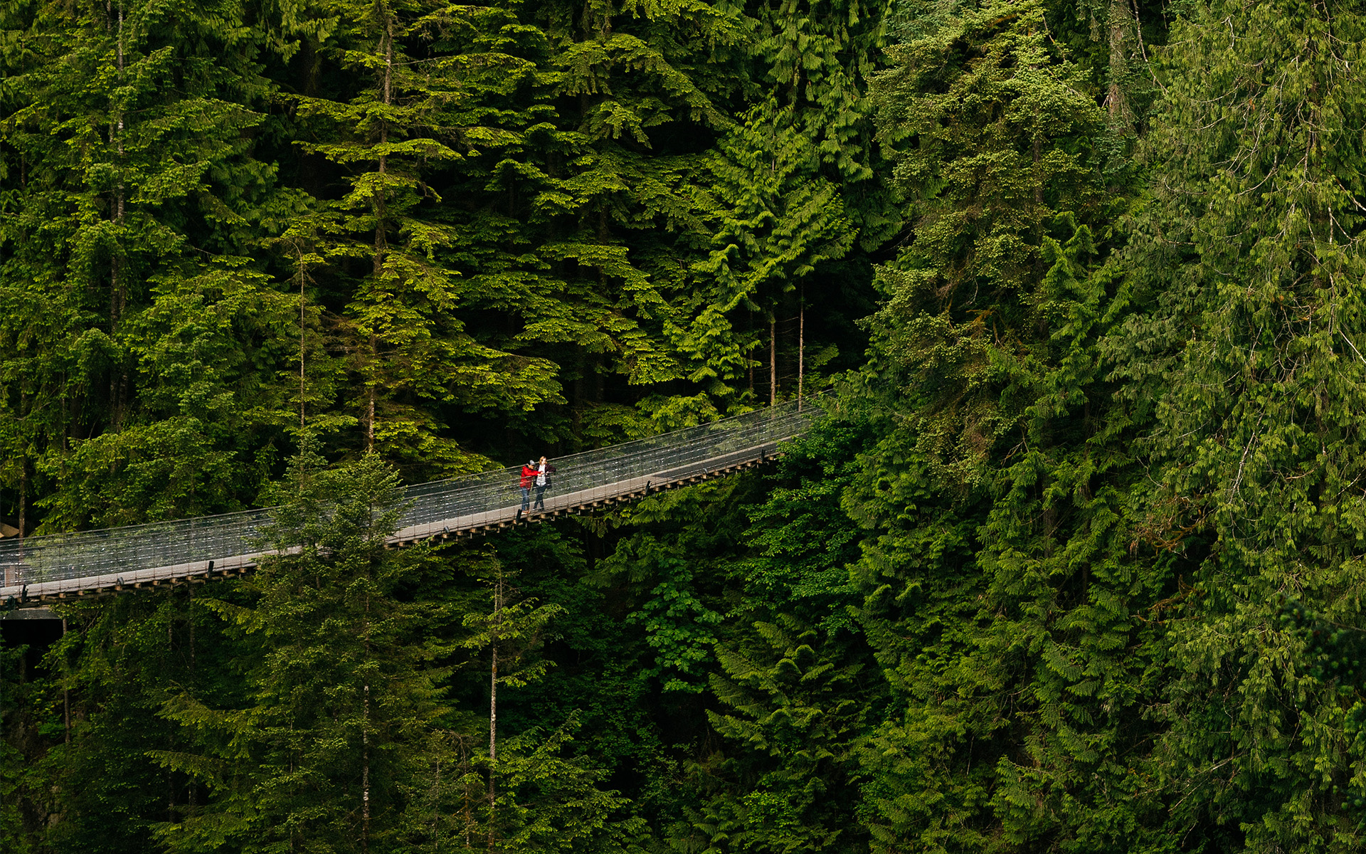 Capilano Suspension Bridge Park Admission