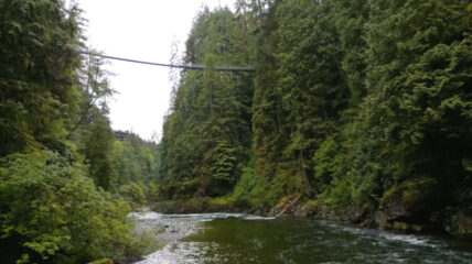 Two people stand in the middle of Capilano Suspension Bridge, surrounded by lush greenery and towering trees, as the bridge stretches out into the distance.