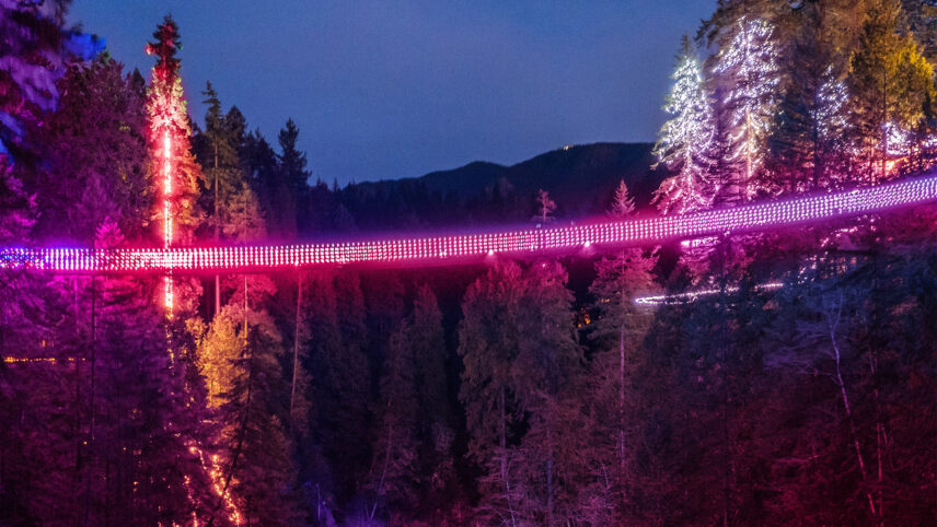 The Capilano Suspension Bridge stands illuminated in a soft pink glow during the Love Lights event, casting a romantic hue over the flowing river below, creating a magical atmosphere for visitors