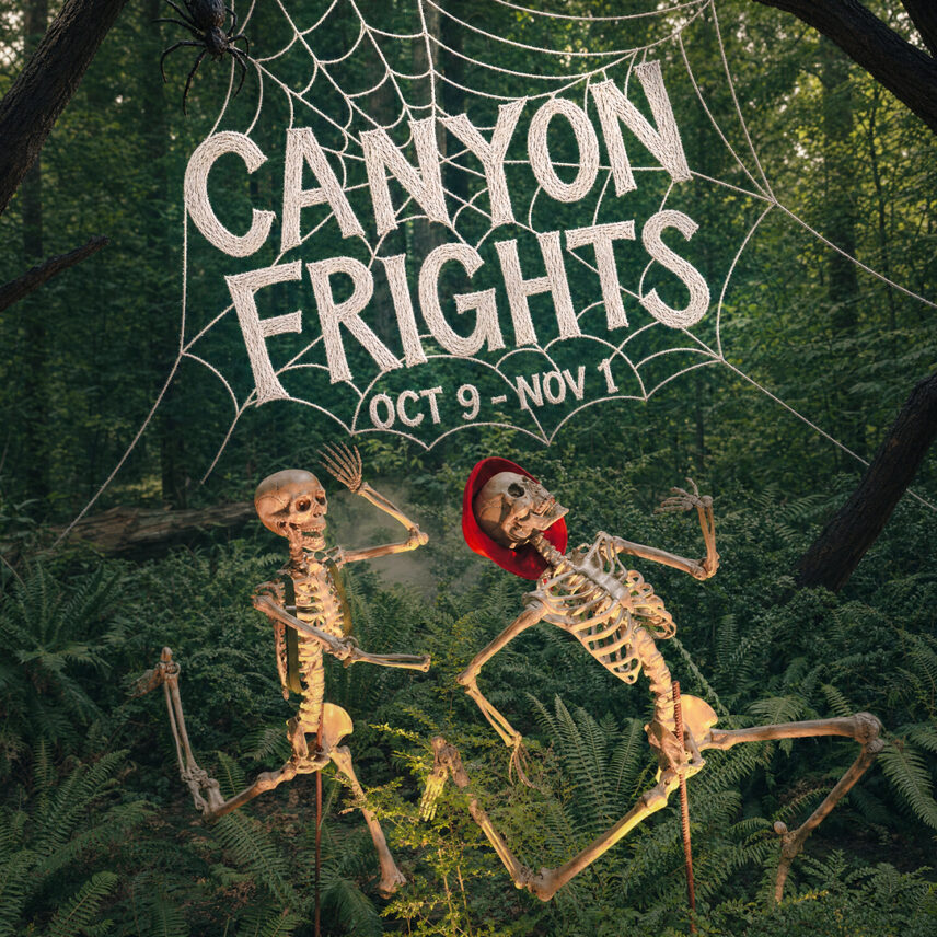 Canyon Frights display featuring two skeletons dancing beneath a spider web sign in the forest at Capilano Suspension Bridge Park